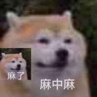 你敢吃尝尝吗！网红小哥训练老鼠当厨师：还做菜给朋友吃