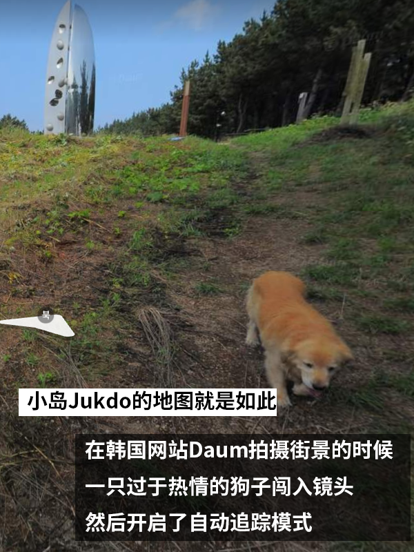 最惹人爱的跟踪狂 网红狗追了地图摄影师一路：被抓拍上千张照片