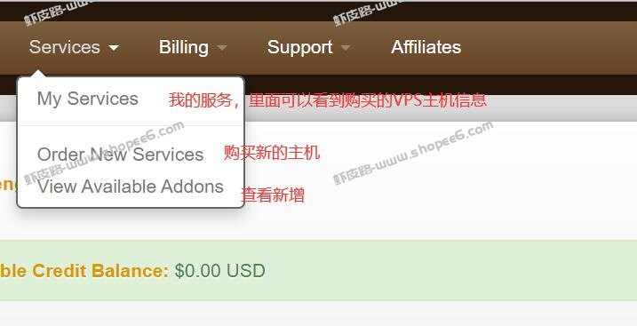 BandwagonHost搬瓦工官方后台访问不了？正确地址及后台介绍图文教程