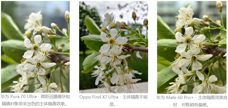 DXOMARK发布华为Pura 70 Ultra影像评分