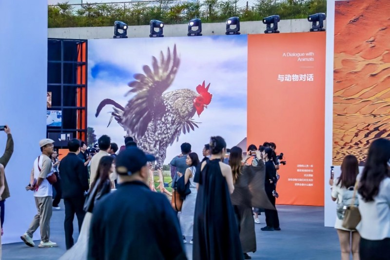 全球共鉴移动影像新十年—2024华为影像品牌之夜