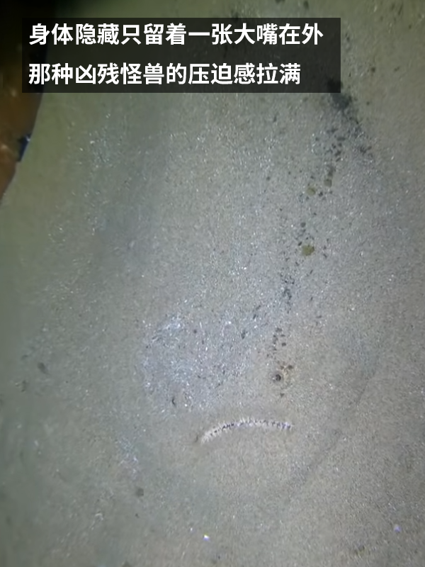 这种得像一道黑暗料理的鱼：像极了上班时发呆的你