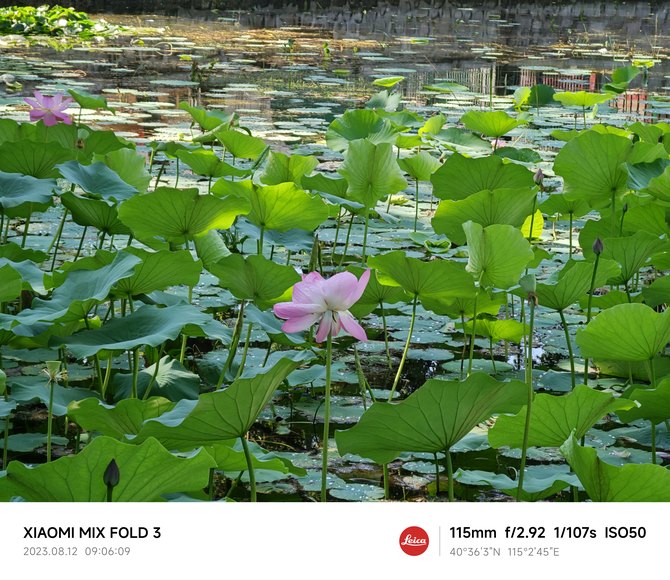 满配旗舰 体验至上！Xiaomi MIX Fold 3折叠屏手机评测
