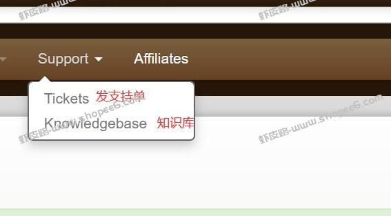 BandwagonHost搬瓦工官方后台访问不了？正确地址及后台介绍图文教程