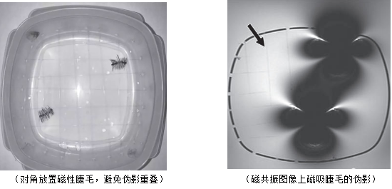 那些总戴假睫毛的人：现在都怎么样了