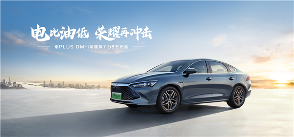 比亚迪海豚荣耀版 A0级燃油车“杀手”！