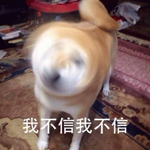 第一个立志要嫁给AI投影的人出现了！