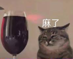 你敢吃尝尝吗！网红小哥训练老鼠当厨师：还做菜给朋友吃